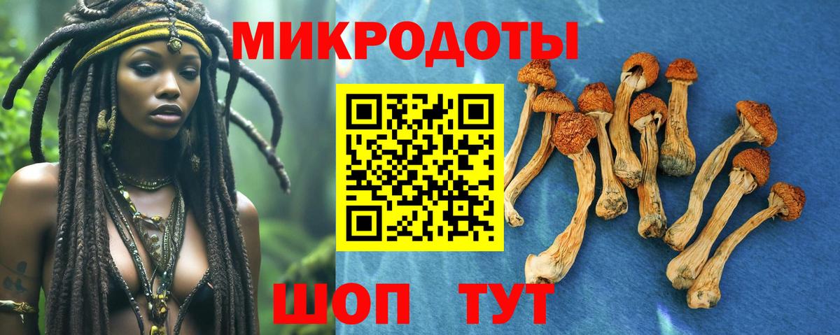 наркота  Псилоцибиновые грибы Magic Shrooms  Вход с VPN  Нефтеюганск  Псилоцибиновые грибы Magic Shrooms 